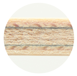 Waldner OFF World Champion 89 veneer